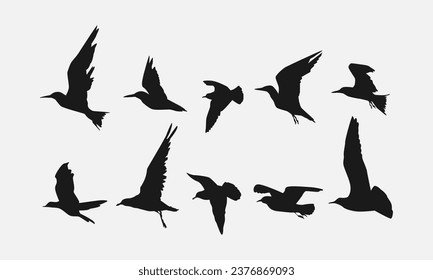 set of flying bird silhouettes. side view. vector illustration.