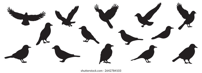 Set of Flying birds black silhouette on white background. Different birds shadow shape, isolated black animal icon set. Simple vector silhouette. Crow, stork, swallow, colibri, crane.
