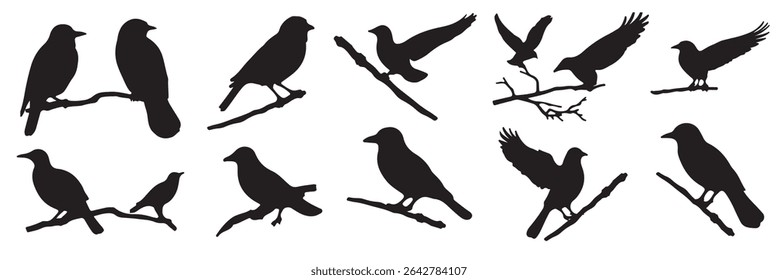 Set of Flying birds black silhouette on white background. Different birds shadow shape, isolated black animal icon set. Simple vector silhouette. Crow, stork, swallow, colibri, crane.
