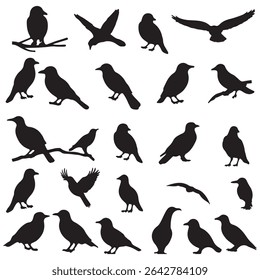 Set of Flying birds black silhouette on white background. Different birds shadow shape, isolated black animal icon set. Simple vector silhouette. Crow, stork, swallow, colibri, crane.