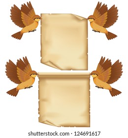Set of flying birds cartoon with sheet of paper, isolated on white background. Place for text. Vector illustration
