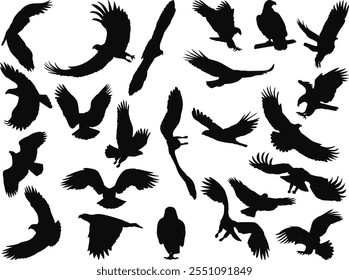 set of flying birds, eagles silhouette vector