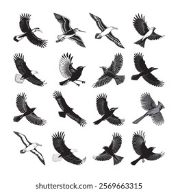 set of flying birds. Elegant Flying Bird Silhouette Bundle with illustration. 