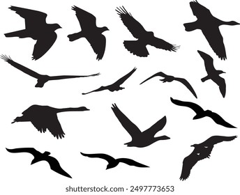 A  set of flying birds ready to be used in your project