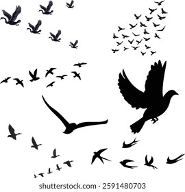 Set of Flying Birds Silhouettes.