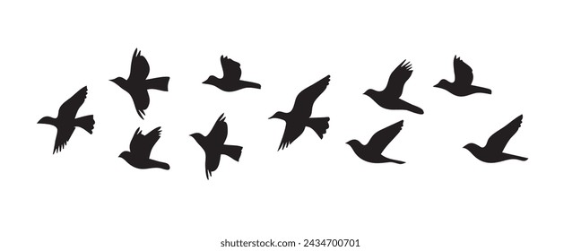 Set of flying birds silhouettes isolated on white background. Vector illustration.