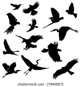 Set of Flying Birds Silhouettes. Vector Image