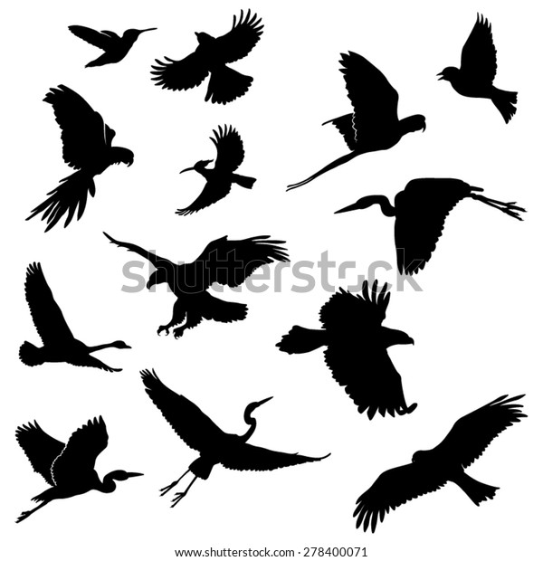 Set Flying Birds Silhouettes Vector Image Stock Vector (Royalty Free ...