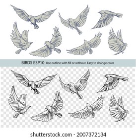 Set of flying birds. Vector outlines