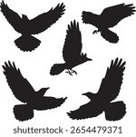Set of flying crow silhouettes in various wing positions. Perfect for Halloween themes, nature designs, tattoos, and spooky illustrations.