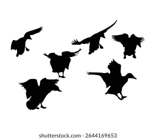 set of flying duck silhouette, group of flying duck vector illustration