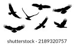 Set of flying eagles. Silhouette of a bird of prey. Vector illustration isolated from the background.