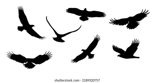 Set of flying eagles. Silhouette of a bird of prey. Vector illustration isolated from the background.
