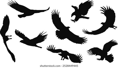 set of flying eagles silhouette, vector