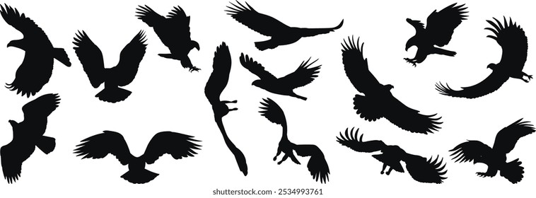 set of flying eagles silhouette, vector