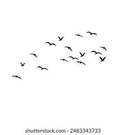 Set Of Flying Flocks Silhouette Vector EPS 10 File Format