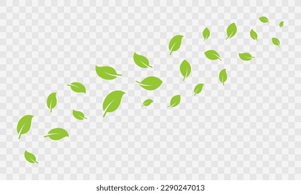 Set of flying green foliage. Motion fresh leaves. Wind raises leaf. Stream of leaves.