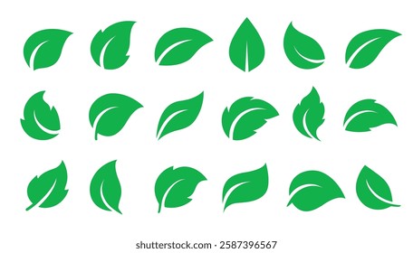 set of flying green plants and herbs leaves icons sign