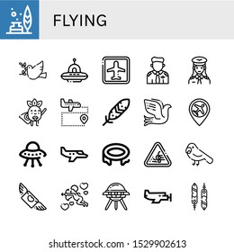 Set of flying icons. Such as Feather, Dove, Ufo, Airport, Pilot, Superhero, Small plane, Trampoline, Loose gravel, Parrot, Flying, Cupid, Feathers , flying icons