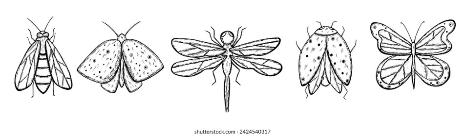 Set of flying insect with wings in hand drawn sketch style