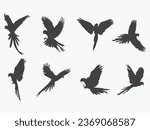 set of flying parrots black silhouette vector illustration with white background