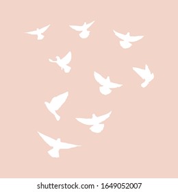 Set of flying pigeons.Silhouette of white doves. Vector illustration