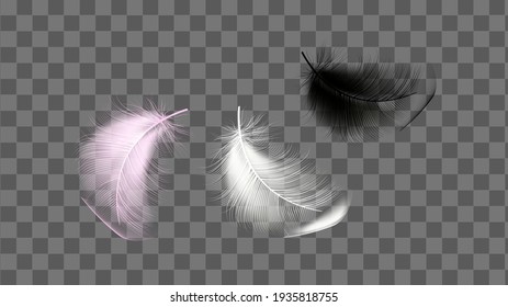 Set of flying realistic vector goose or chicken white feathers of various shapes Ecological feather filler for pillows, blankets or jackets. 

