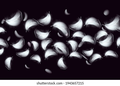 Set of flying realistic vector goose or chicken white feathers of various shapes Ecological feather filler for pillows, blankets or jackets. 
