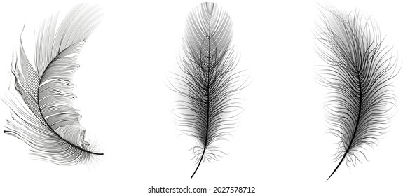 Set of flying realistic vector goose or chicken black feathers of various shapes Ecological feather filler for pillows, blankets or jackets. 
