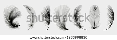 Set of flying realistic vector goose or chicken white feathers of various shapes. Ecological feather filler for pillows, blankets or down jacket.
