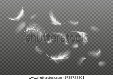 Set of flying realistic vector goose or chicken white feathers of various shapes Ecological feather filler for pillows, blankets or jackets. 
