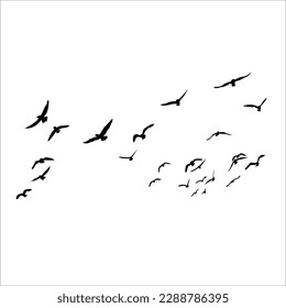 Set OF Flying Seagul Silhouette Vector EPS Black Colored