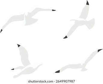 Set of Flying Seagulls Flat Vector Illustration for Marine Themes, Nautical Design, and Coastal Nature Decoration