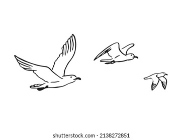 Conjunto de gaviotas voladoras. Ilustración dibujada a mano convertida en vector.