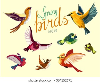 Set of flying spring birds. Vector illustration. isolated 