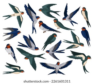 Set of flying swallows. Flock of martlet birds cartoon vector illustration
