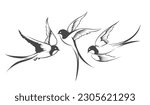 Set of a flying swallows. Hand drawn outline illustration isolated on white. Vector illustration 