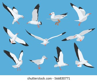 Set Of Flying And Swimming Sea Bird And Seagull Vector Illustration