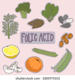 Set Of Folic Acid Foods Healthy Plan. Medical Healthcare Concept. Vector Flat Icon Cartoon Vector Design Illustration