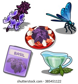 Set of food with Basil. Purple dragonfly. Vector illustration.