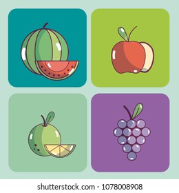 Set of food collection