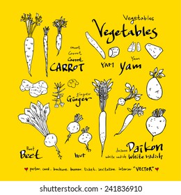 Set of food ingredients - vector illustrations