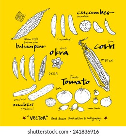 Set of food ingredients - vector illustrations