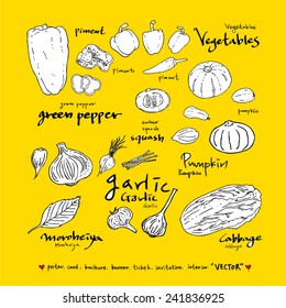 Set of food ingredients - vector illustrations