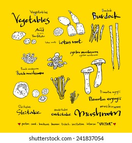 Set of food ingredients - vector illustrations