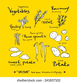 Set of food ingredients - vector illustrations