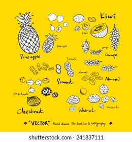 Set of food ingredients - vector illustrations