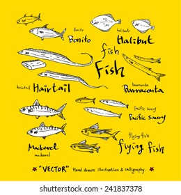 Set of food ingredients - vector illustrations