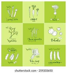 Set of food ingredients - vector illustrations
