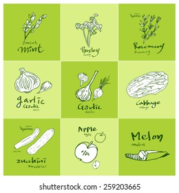 Set of food ingredients - vector illustrations
